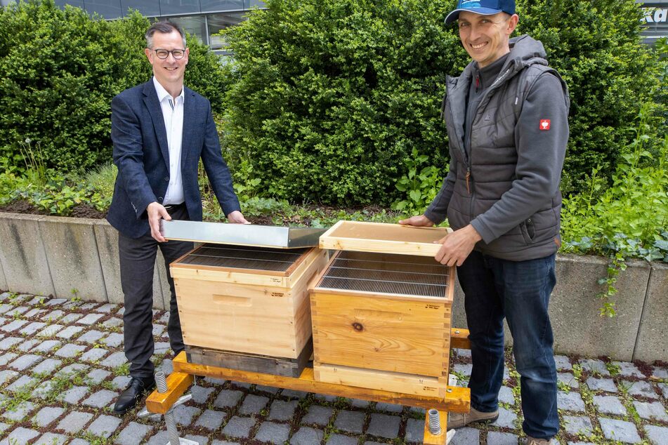 An den zwei Bienenstöcken: Siemens-Sprecher Raymond Haböck (51, l.) und Imker Dirk Jäger (39).