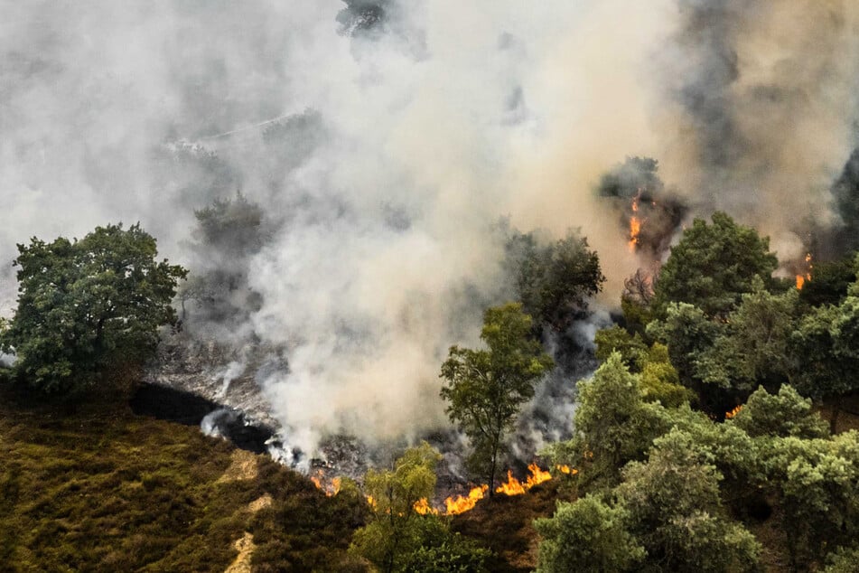 Züge stillgelegt, Armee im Einsatz: Waldbrand nahe deutscher Grenze wütet weiter