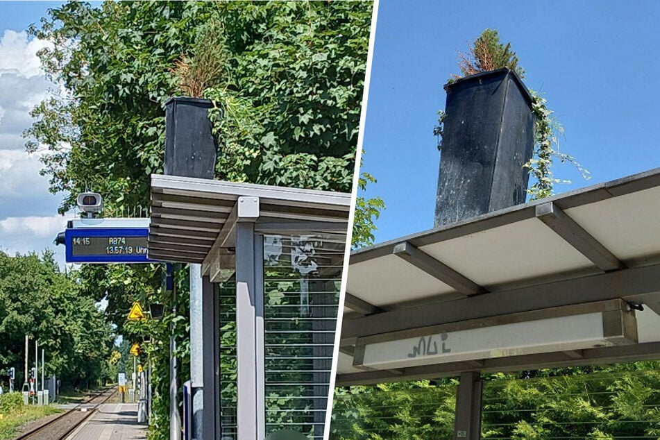 Sinnlos-Aktion am Bahnhof: Polizei muss wegen Pflanzenkübel ausrücken