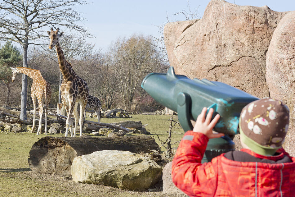 Im Leipziger Zoo gibt es immer etwas zu entdecken, auch in den Winterferien.