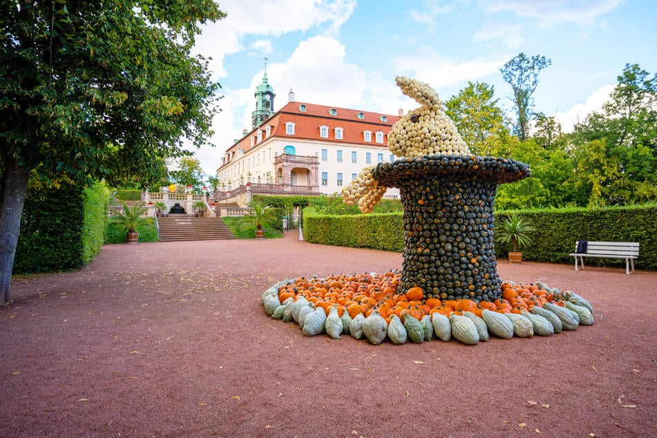 Im Schloss und Park Lichtenwalde entführt das Kürbisfestival in eine Welt voller kreativer Figuren.