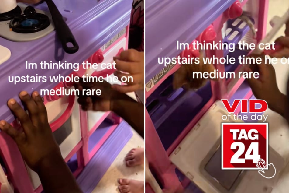 viral videos: Viral Video of the Day for June 13, 2025: Kids play chef and mom finds family cat in unusual place!