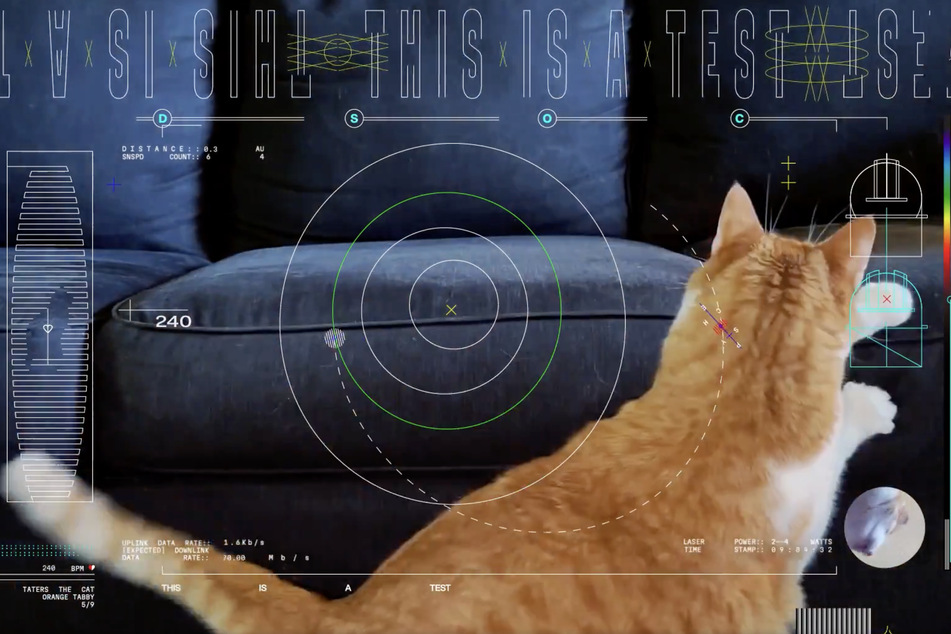 NASA's Jet Propulsion Laboratory paid tribute to cats' unchallenged status as masters of the memes.