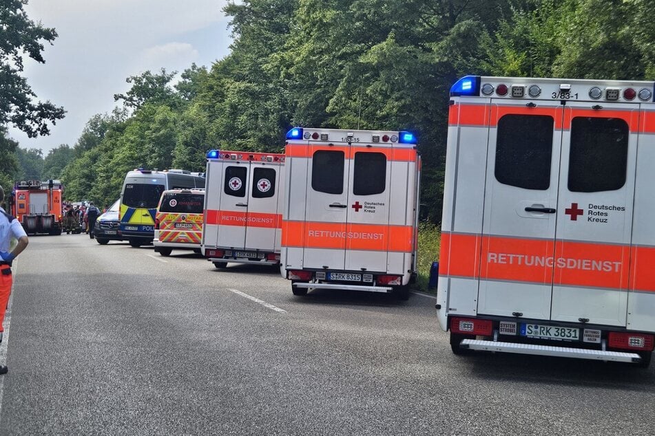 Die Einsatzkräfte waren im Großeinsatz vor Ort.