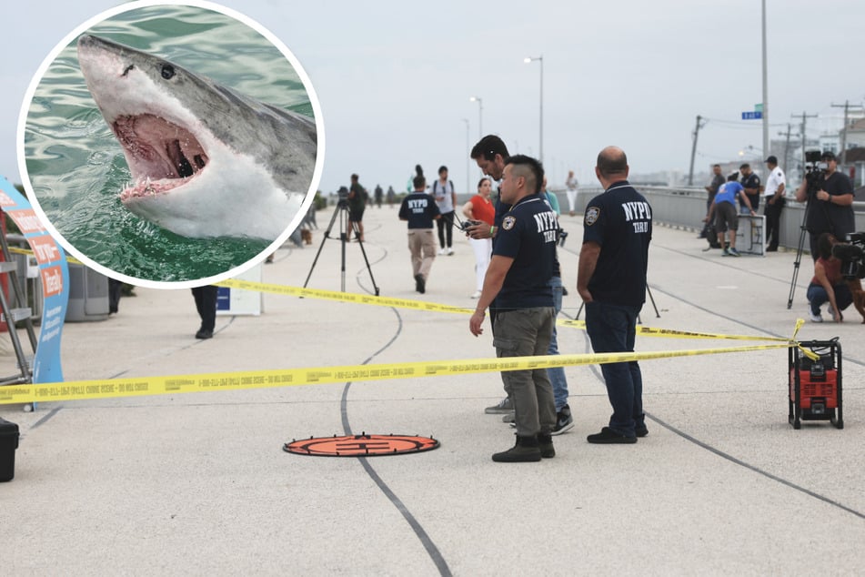 An extremely rare shark attack off the coast of Rockaway Beach in New York City left a woman severely injured.