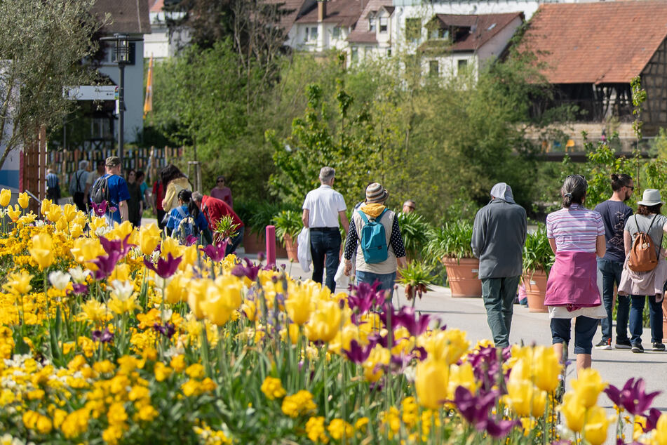 Gartenschau in Balingen ein voller Erfolg: Mehr als 15.000 Besucher gezählt