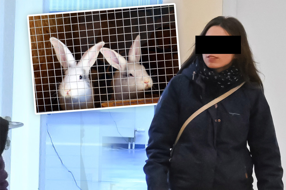 Tierischer Nachbarschaftsstreit: Rasende Erzieherin demoliert Kaninchenstall!