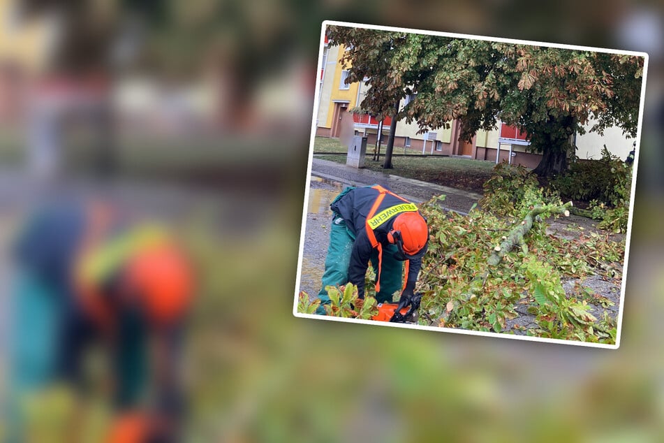 Unwetter über Magdeburg: Feuerwehr muss mehrmals ausrücken