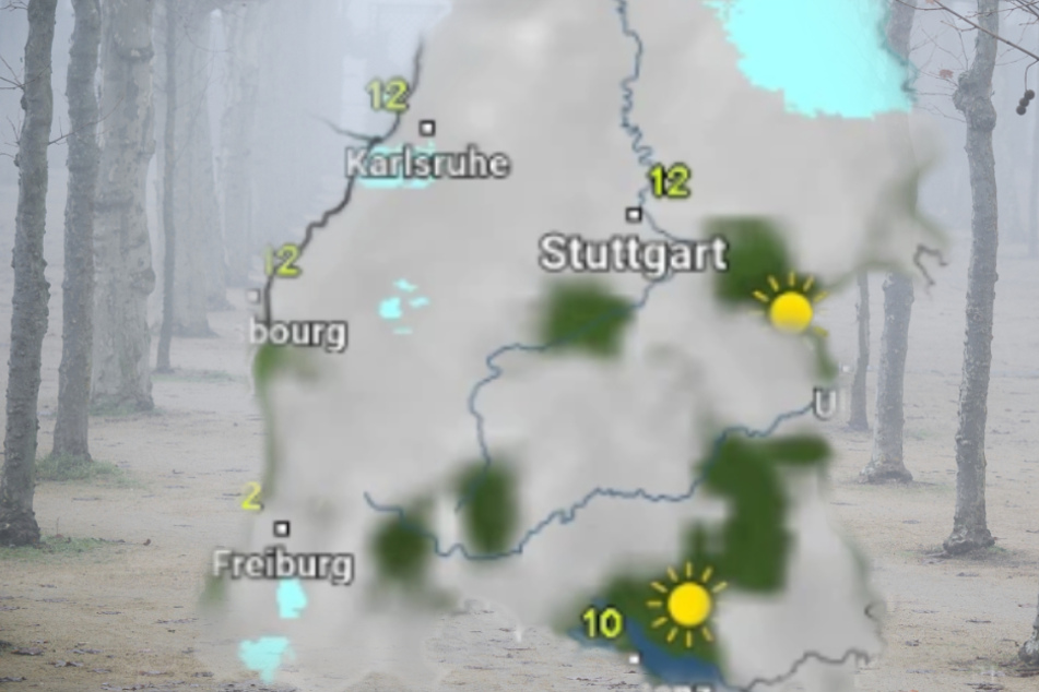 Das Wetter wird in der neuen Woche neblig und wolkig.