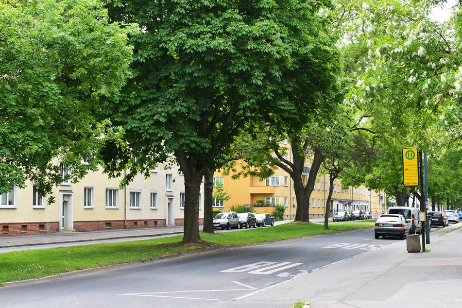 Auf dem Hepkeplatz im Stadtteil Gruna kam es zu einer weiteren fremdenfeindlichen Beleidigung.