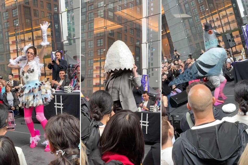 Pigeon Fest 2025: New Yorkers flock to absurd pigeon pageant with important ecological message