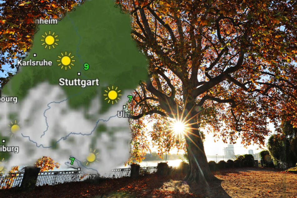 Das Wetter wird besonders im Norden von Baden-Württemberg freundlich.