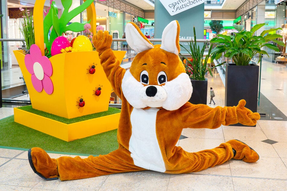Trefft den Osterhasen in der Stadt-Galerie Plauen und knipst mit ihm tolle Erinnerungsbilder.