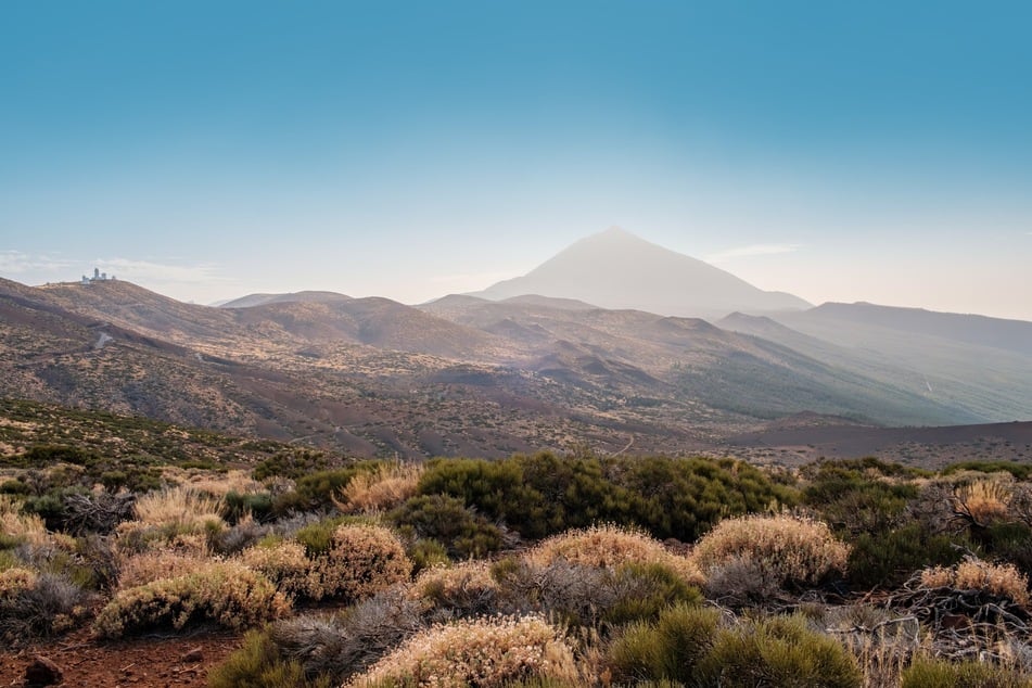 Die Polizei durchkämmt seit Tagen das Gebiet des Nationalparks im Norden Teneriffas. (Symbolbild)