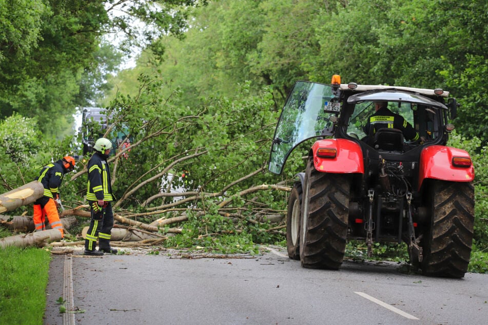 Die Feuerwehr musste bei Peissen mit der Motorsäge ran.