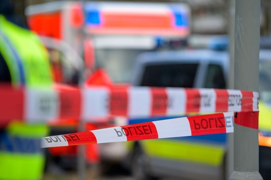 In Wohnung mit elf Katzen: 49-Jähriger tot aufgefunden