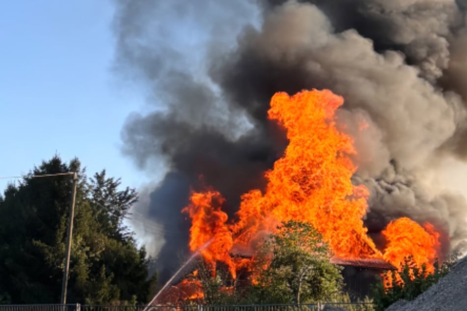 Großbrand mit Explosionen: Mehrere Feuerwehrleute verletzt, zahlreiche Kühe sterben in den Flammen