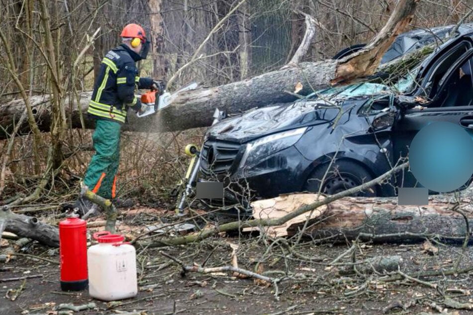 Sturmtief in Leipzig: Baum stürzt auf parkendes Auto samt Fahrer