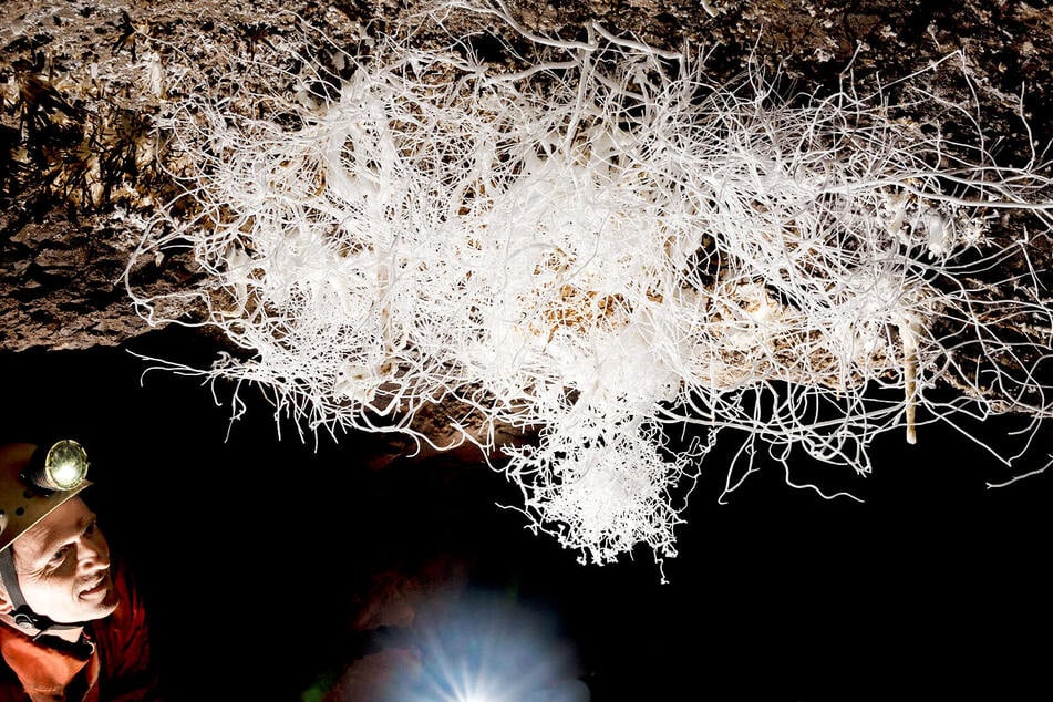Bei den 2020 entdeckten Kristallen handelt es sich um aragonitische Sinterformen, sogenannte "Eisenblüten"). Die Größe der Kristallaggregate von mehr als 1,50 Meter ist für europäische Höhlen außergewöhnlich.