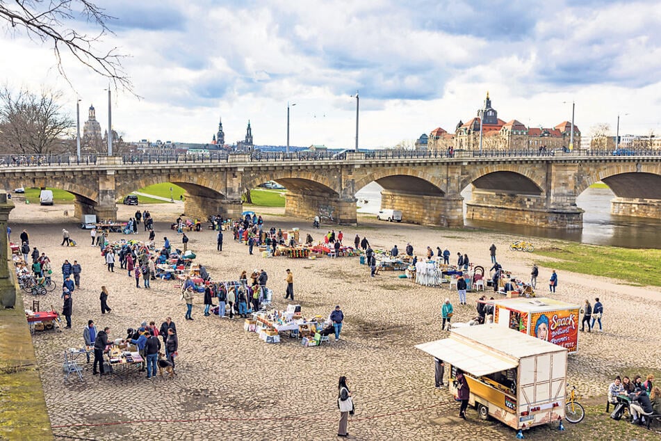 Auf dem Elbeflohmarkt in Dresden kommen Schatzsucher und Schnäppchenjäger auf ihre Kosten.