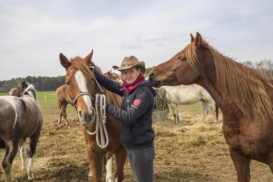 In Sorge um ihre Pferde auf der Koppel in der Lausitz: Pferdewirtschaftsmeisterin Cornelia Helm (44).