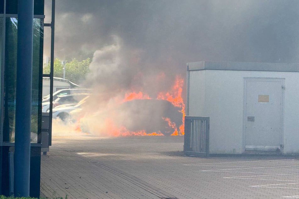Auf dem Schrottplatz brannten mehrere Fahrzeuge aus noch unbekannter Ursache.