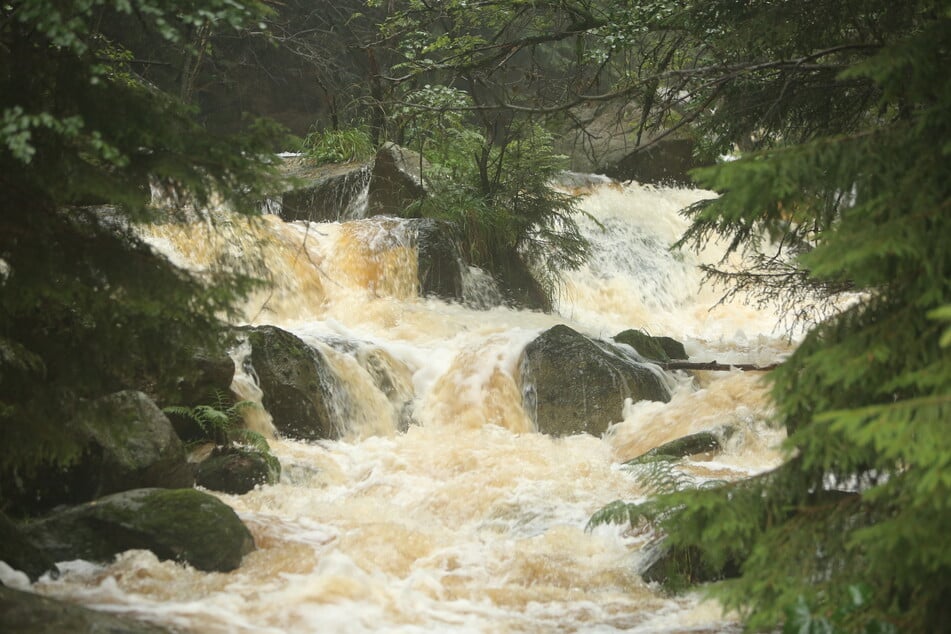 Regenwasser lässt die Flüsse wie hier an der "Steinerne Renne" anschwellen. Der anhaltende Regen sorgt im Harz für überlaufende Bäche.