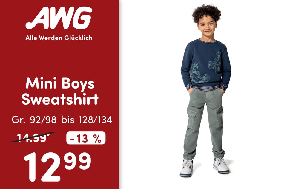 Mini Boys Sweatshirt