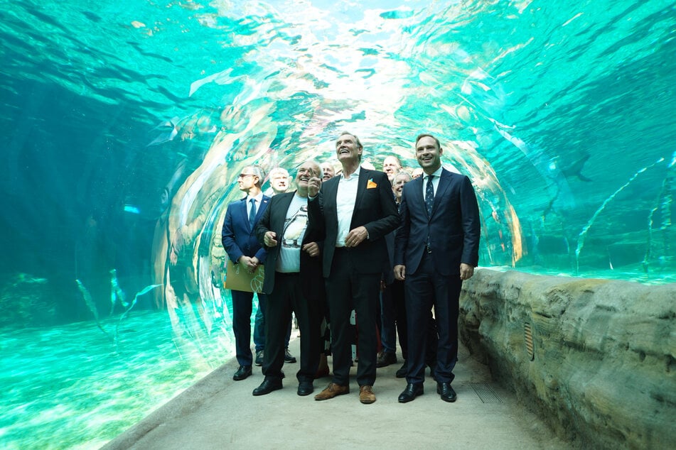 Ein über 100 Meter langer Unterwassertunnel erwartet die Besucher.