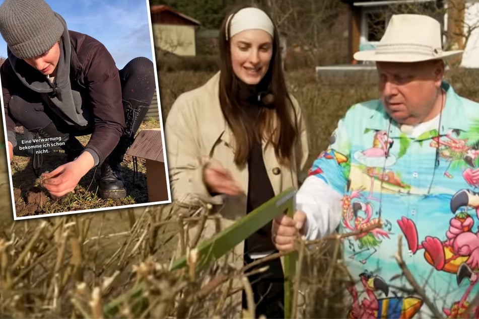 Zur Kleingärtnerin geschlagen: Gartensheriff stellt Krokus-Influencerin auf die Probe