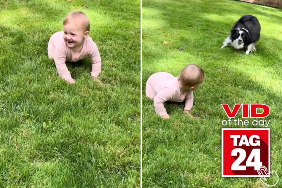 This baby can't stop laughing as her dog zooms in circles around her!