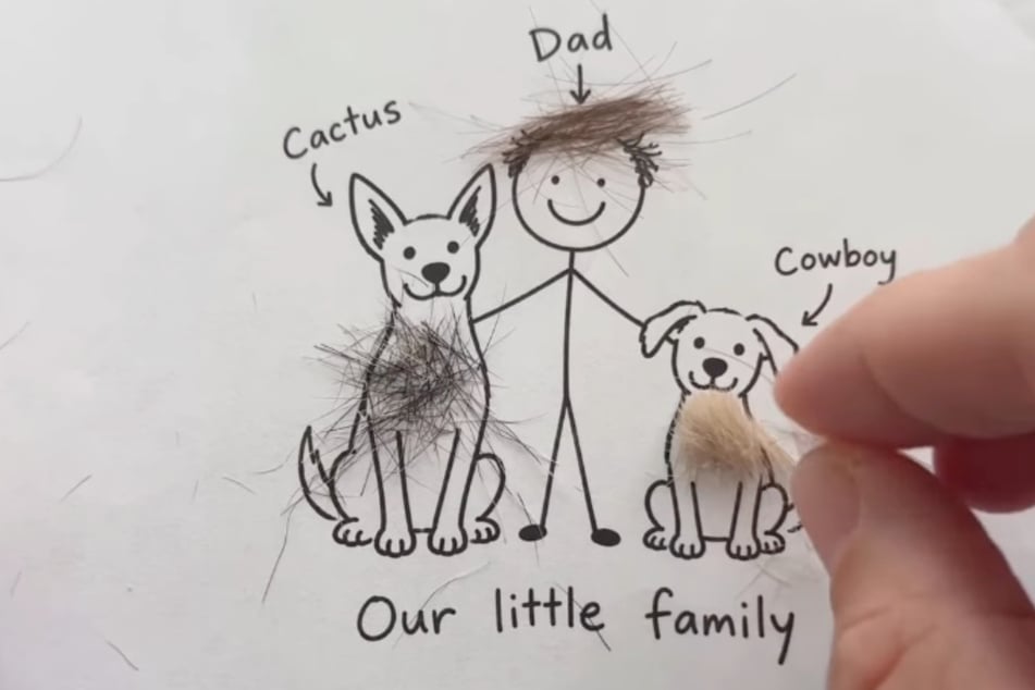 Die Haare verteilt Brown auf dem Bild zu den passenden Figuren.