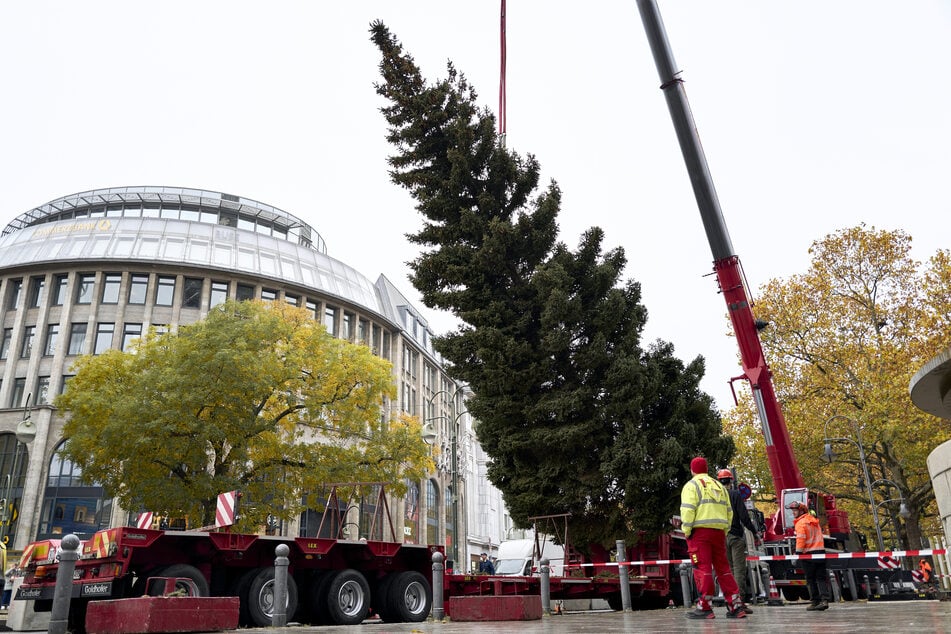 Berlin: Dieses Jahr pannenfrei: Weihnachtsbaum an Gedächtniskirche steht