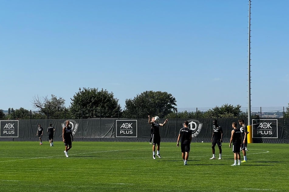 Bei fast tropischen Temperaturen trainierten die Dynamos am Donnerstag.