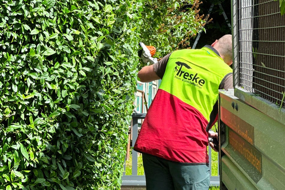 Ob Pflasterarbeiten, Zaunbau oder Baumpflege – als Gärtner im Garten- und Landschaftsbau (m/w/d) bist Du überall dort gefragt, wo’s grün wird.