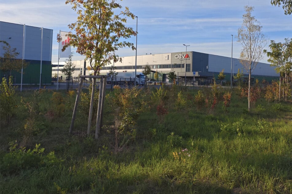 Noch gibt es für die Waffenproduktion hier keine Genehmigung. Und in Leipzig ist der Protest groß gegen den neuen Rüstungsstandort.