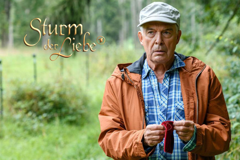 Sturm der Liebe: Sturm der Liebe: Was André im Wald findet, könnte alles verändern