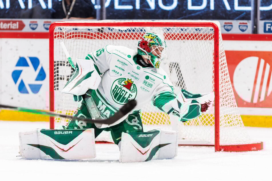 Christoffer Rifalk steht seit gut sechs Jahren bei Rögle BK zwischen den Pfosten.