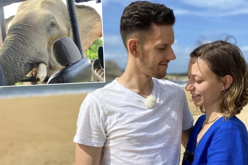 Emma (25) und Christian (31) gingen während einer Safari mit einem Elefanten auf Tuchfühlung.