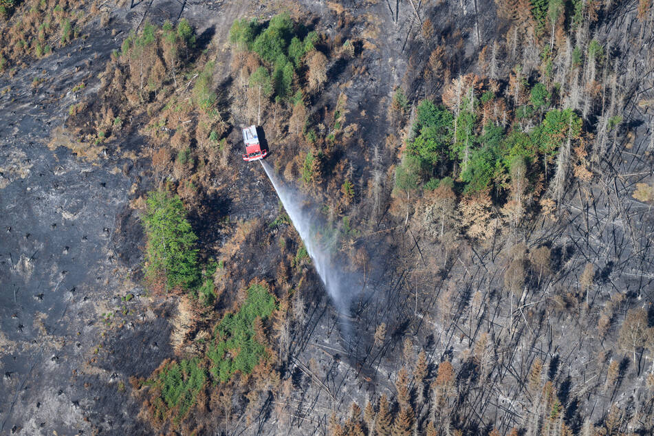 Die Situation im Waldbrandgebiet Nationalpark Sächsische Schweiz ist weiterhin nicht unter Kontrolle.