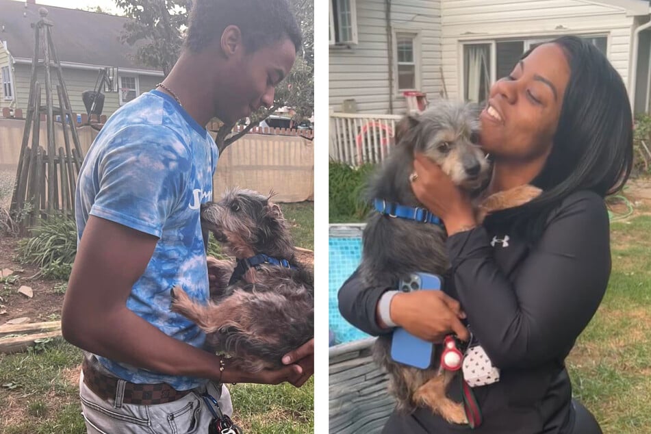 Missing dog suddenly recognizes family he was reunited with after five years