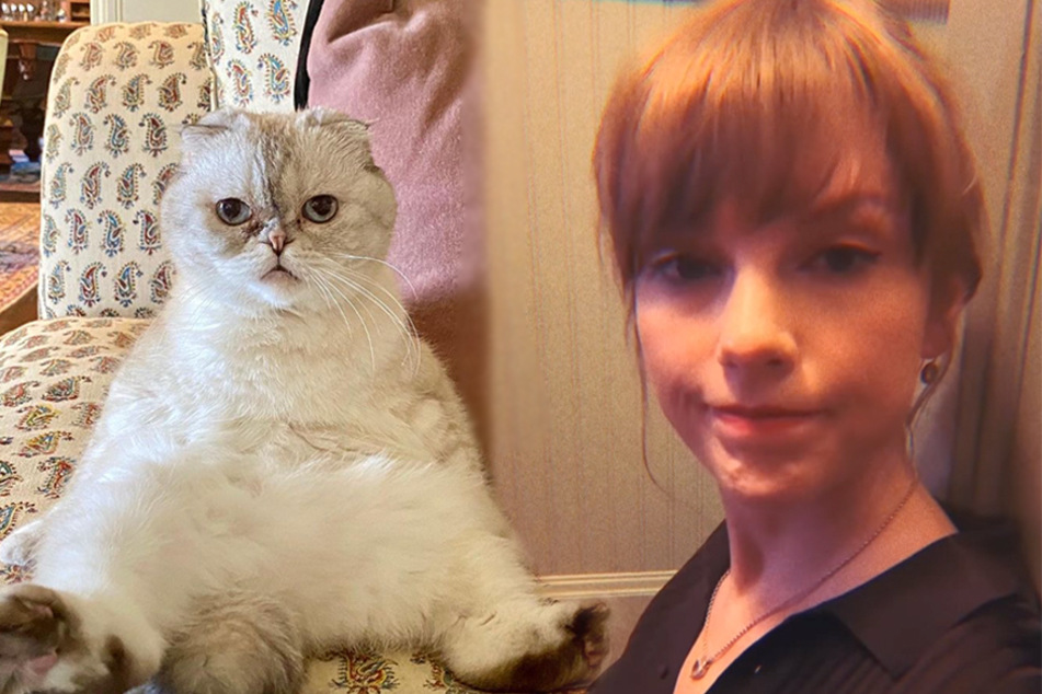 Taylor Swift's cat is probably worth more than you are