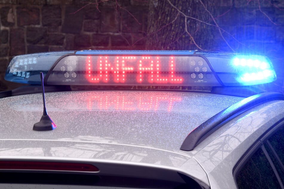 Der betrunkene Fahrer und sein Beifahrer kamen von der Straße ab und rutschten gegen einen Baum. (Symbolbild)