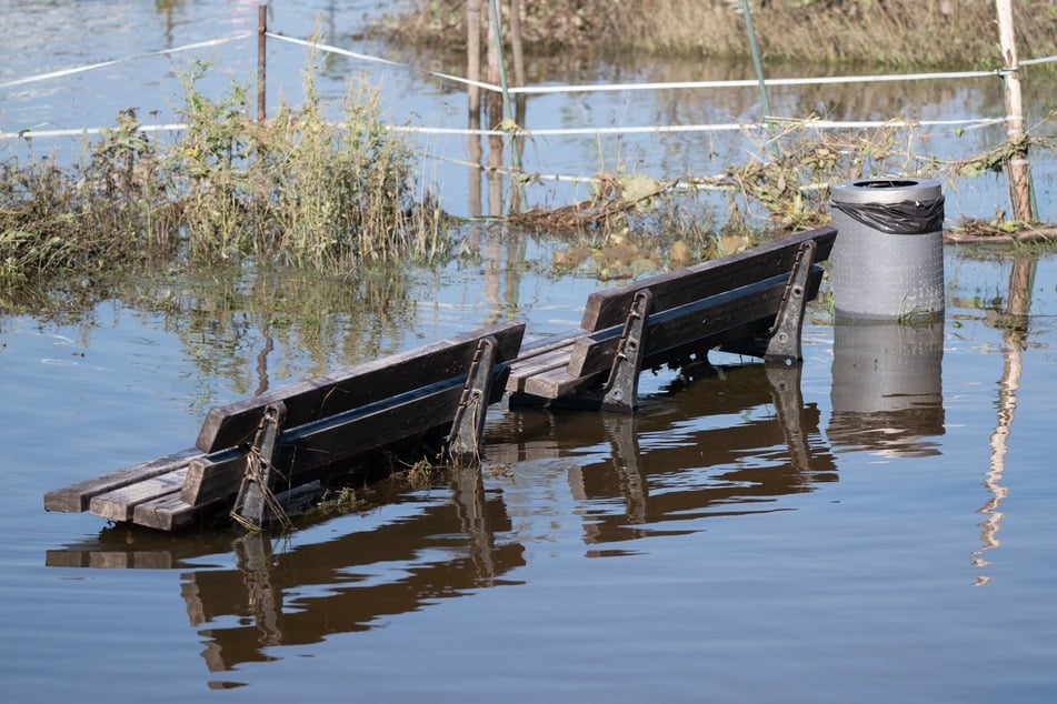 Die Wasserstände in Dresden fallen.