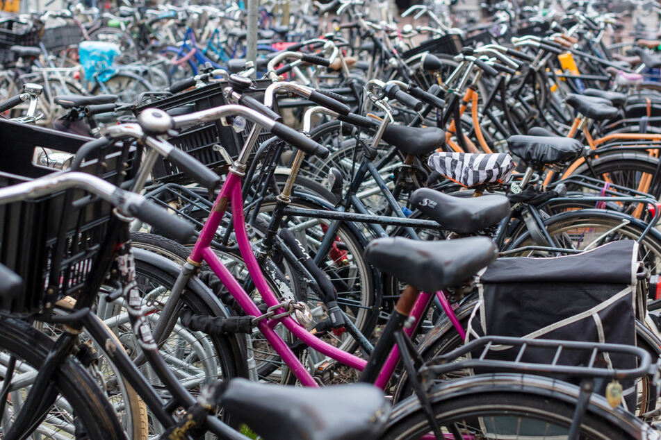 Unter den Fahrrädern sind Mountainbikes, Kinderräder, Cityräder und vieles mehr. (Symbolbild)