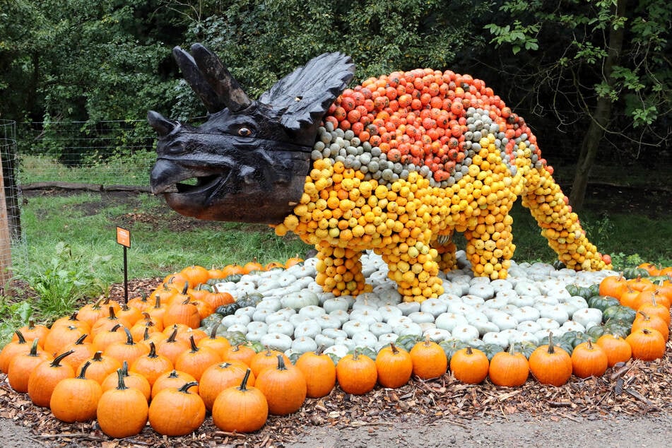 In Kürbishausen sind derzeit Kürbis-Dinos zu sehen.