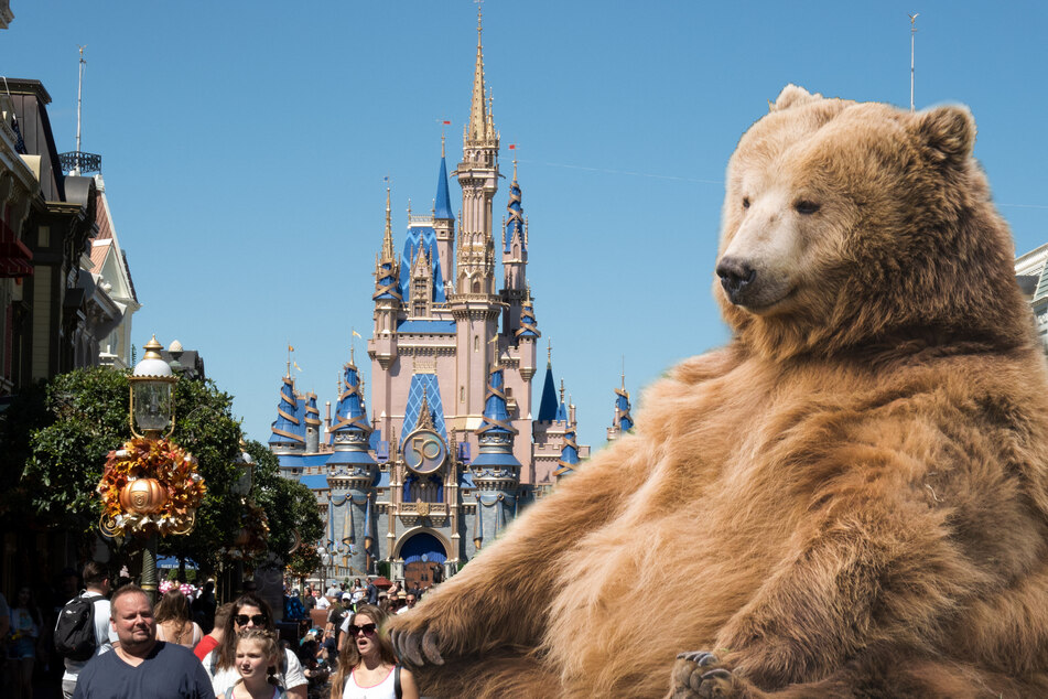 A bear was spotted in a tree at Disney World's Magic Kingdom's in Florida, forcing the closure of some popular rides.