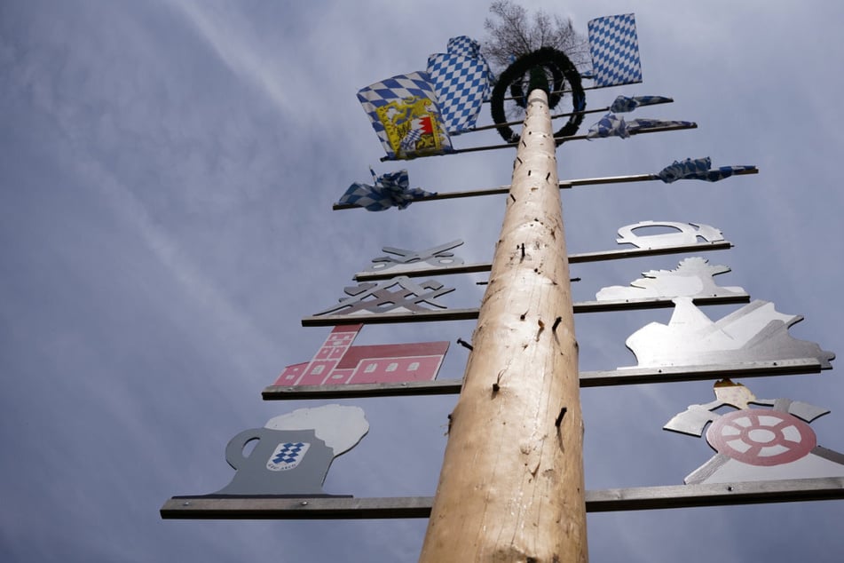 Tradition mit bitterem Beigeschmack: Der Oberpöringer Maibaum, bei dessen Wache sich der Feuerangriff zugetragen hatte.