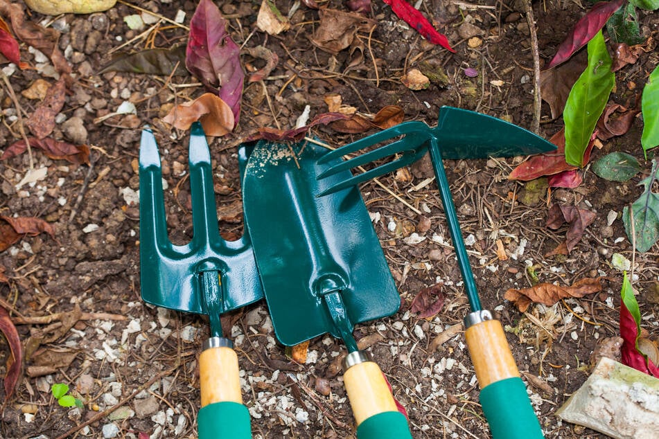 Während der Gartenarbeit im März dürfen die Hände endlich wieder in Erde gesteckt werden.