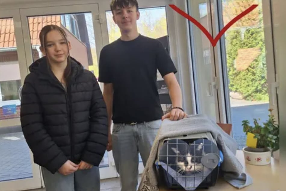 Katze Perla ist nach mehr als einem Jahrzehnt zurück bei ihrer Familie.